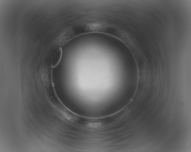 X0000081290653200701111400