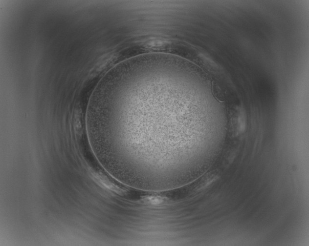 X0000081290654200701111400