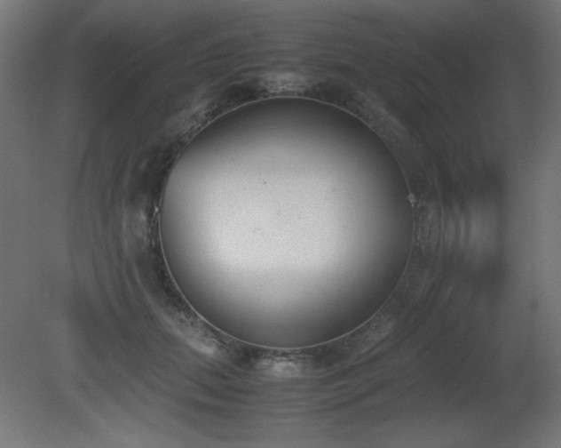 X0000081290655200701111400