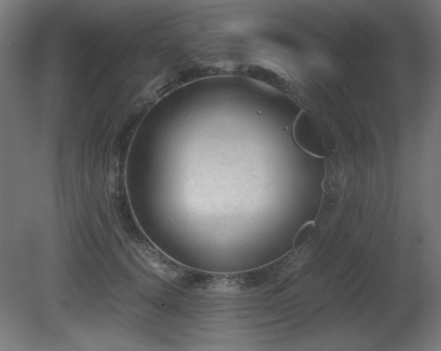 X0000081290656200701111400