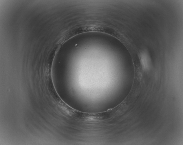 X0000081290657200701111400