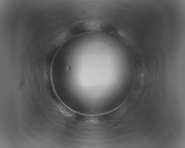 X0000081290658200701111400