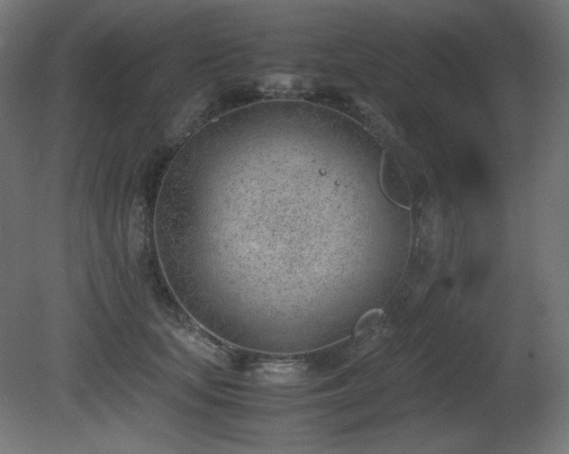X0000081290659200701111400