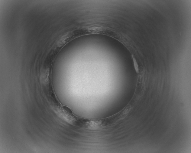 X0000081290660200701111400