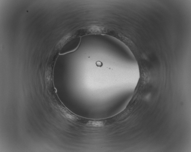 X0000081290665200701111400