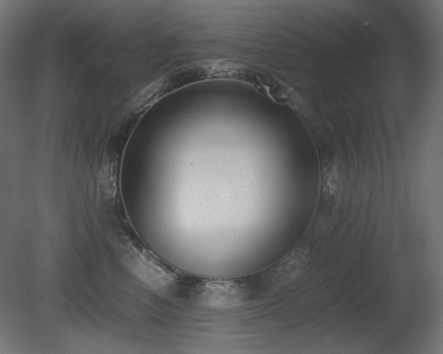 X0000081290666200701111400