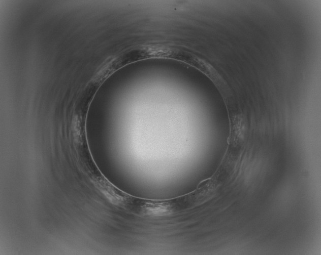 X0000081290667200701111400
