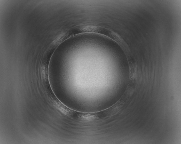 X0000081290669200701111400