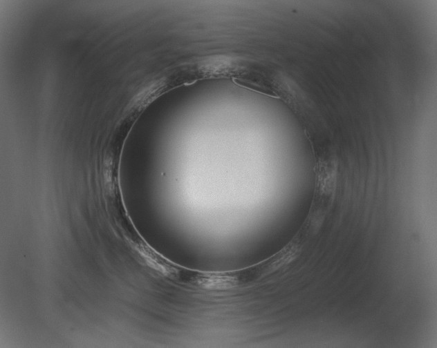 X0000081290670200701111400