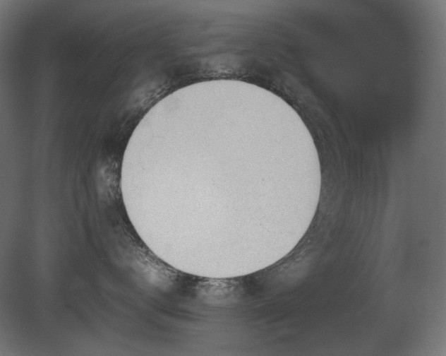 X0000081290672200701111400