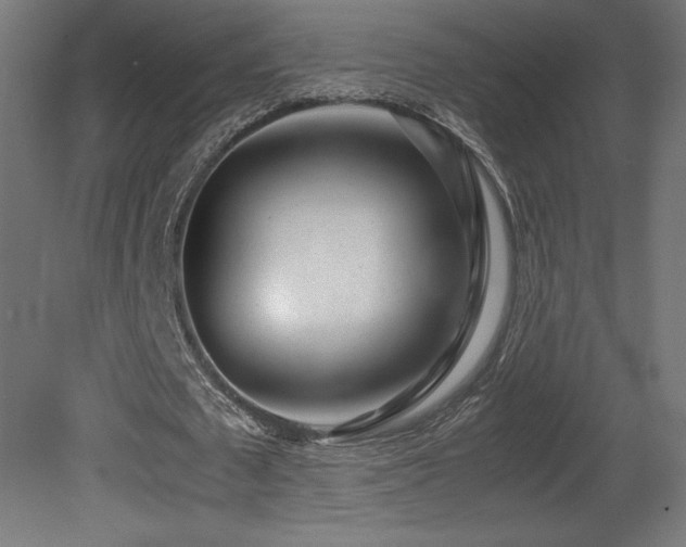 X0000081290673200701111359