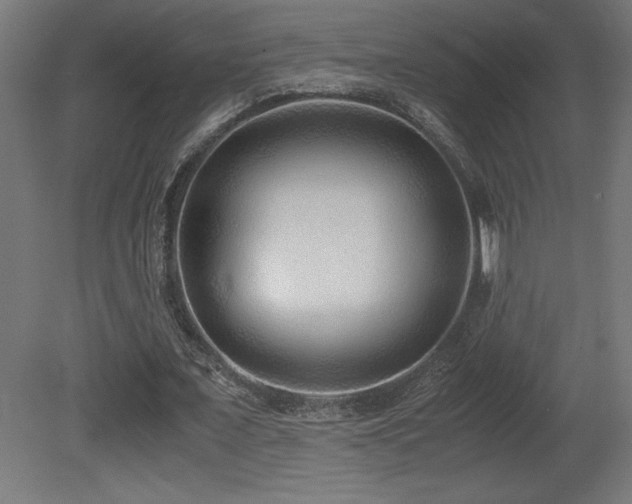X0000081290675200701111359
