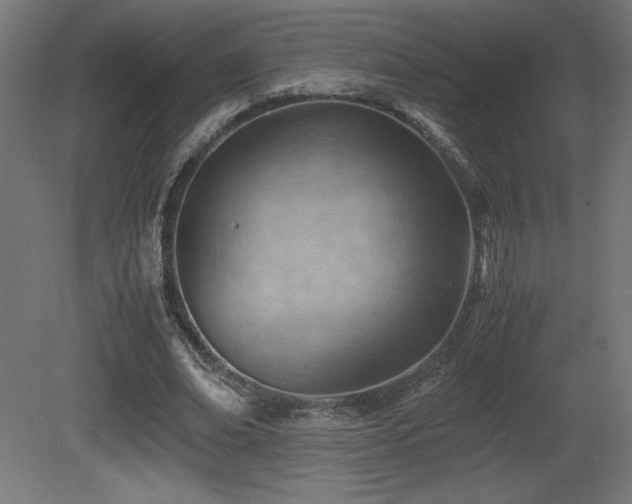 X0000081290678200701111359
