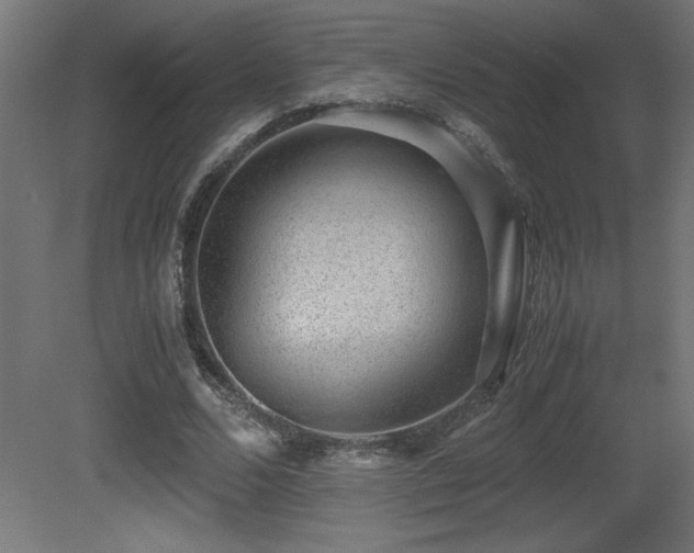 X0000081290680200701111359