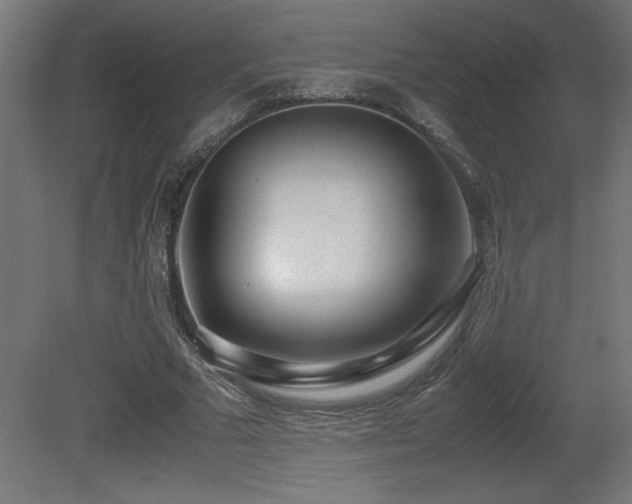 X0000081290681200701111359