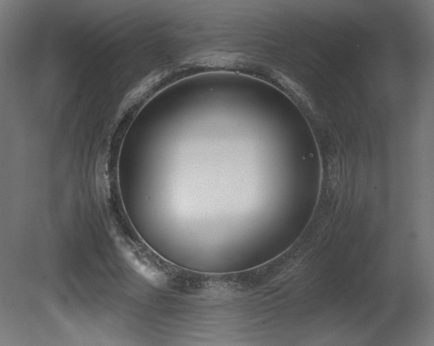 X0000081290682200701111359