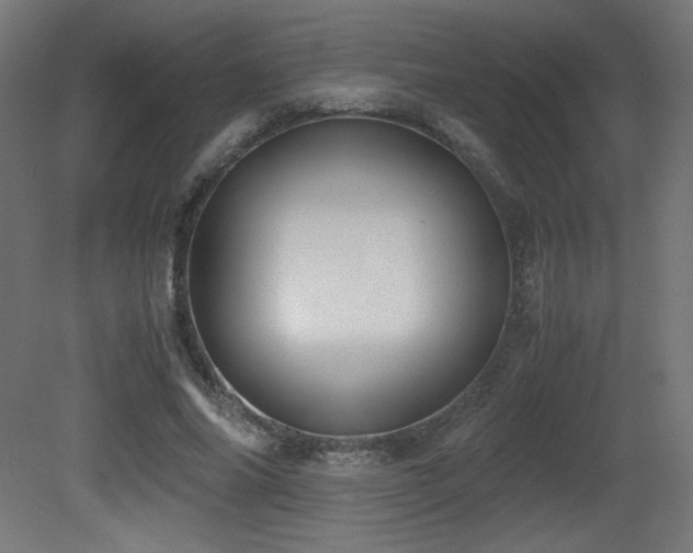 X0000081290686200701111359
