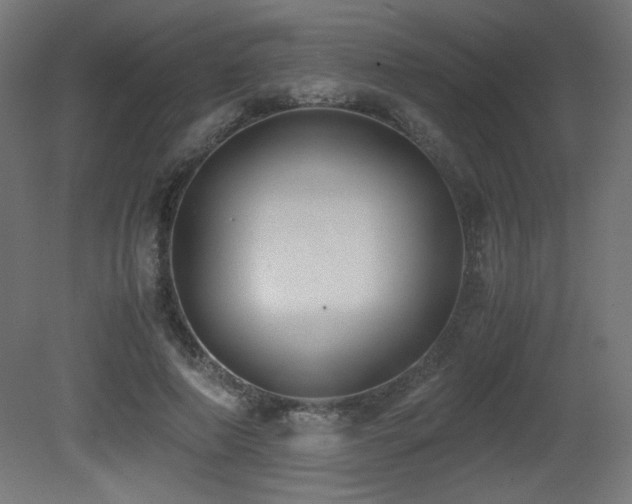 X0000081290690200701111359