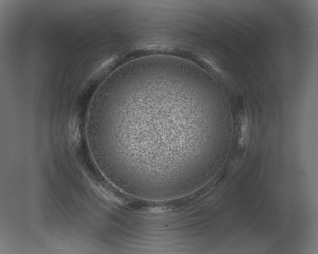 X0000081290692200701111359