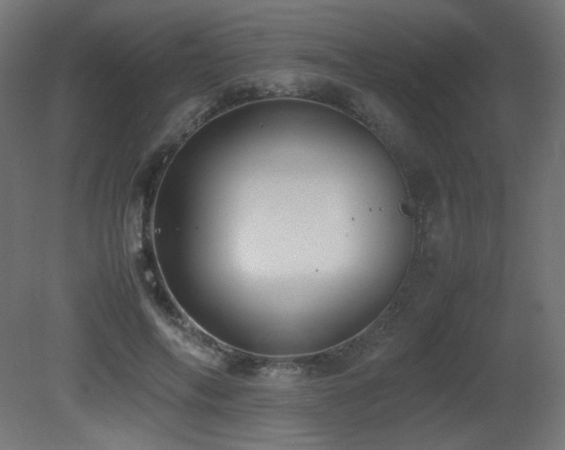 X0000081290694200701111359