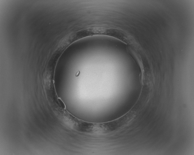 X0000081290697200701111359