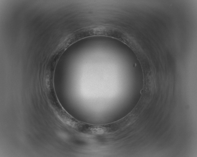 X0000081290698200701111359