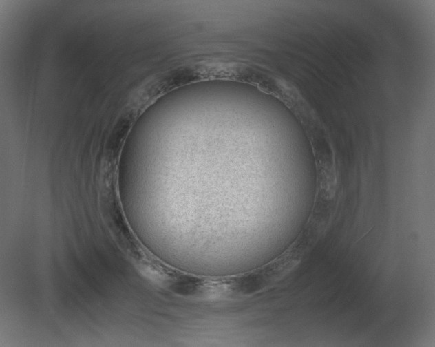 X0000081290701200701111359