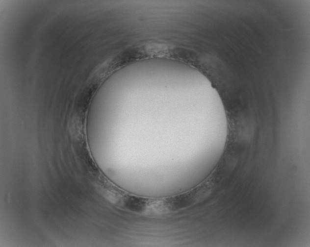 X0000081290705200701111359