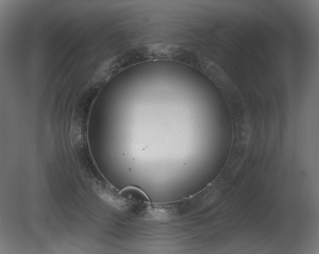 X0000081290706200701111359