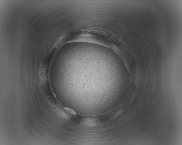 X0000081290708200701111359