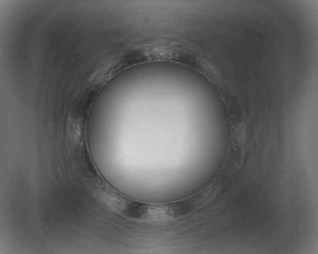 X0000081290709200701111359