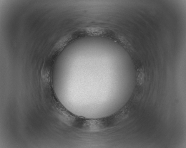 X0000081290713200701111358