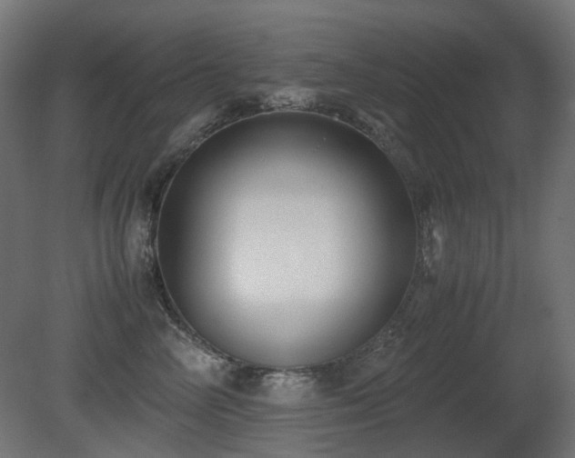 X0000081290714200701111358