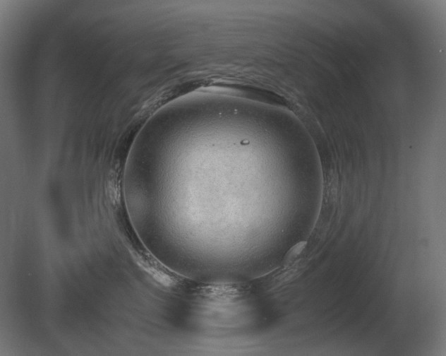 X0000081290719200701111358
