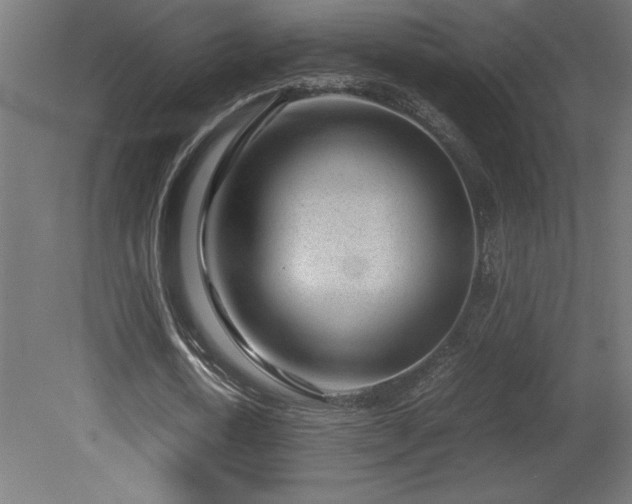 X0000081290722200701111358