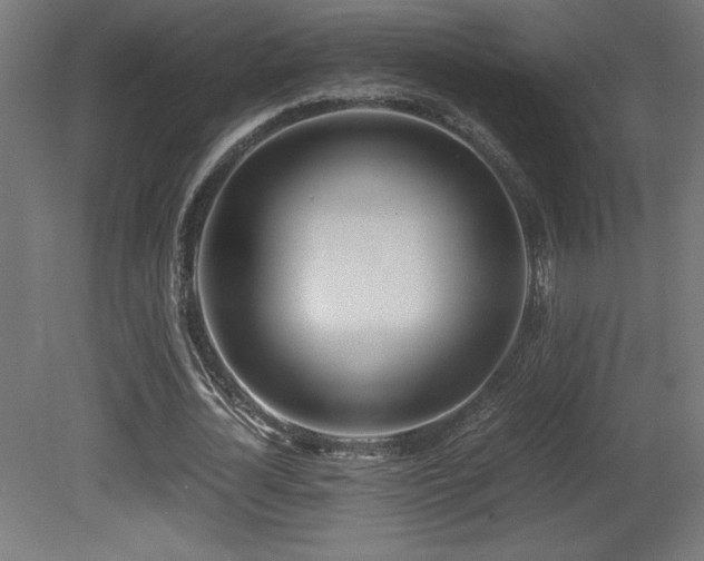 X0000081290724200701111358