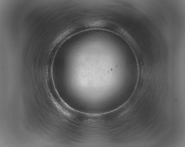 X0000081290725200701111358