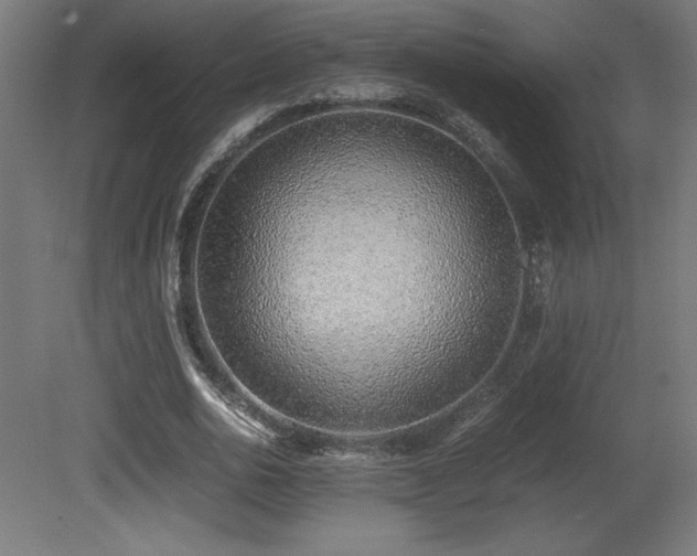 X0000081290726200701111358