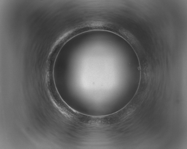 X0000081290728200701111358
