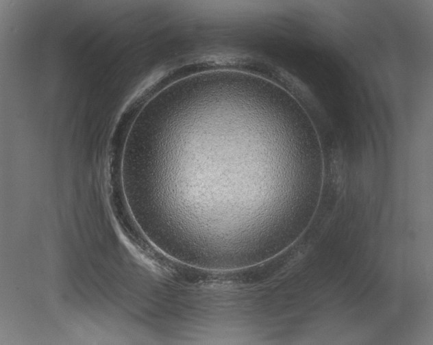 X0000081290730200701111358