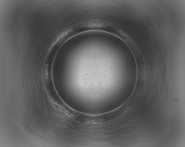 X0000081290731200701111358