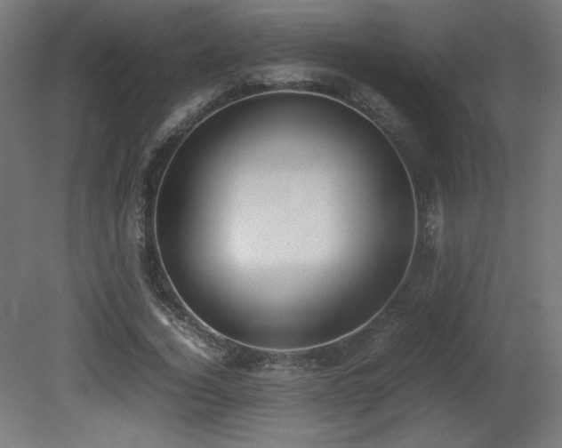 X0000081290732200701111358