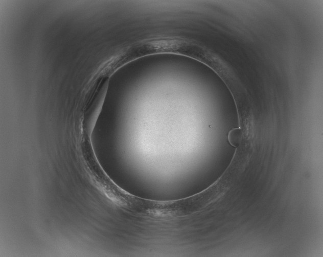 X0000081290733200701111358