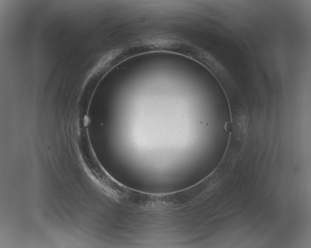 X0000081290734200701111358