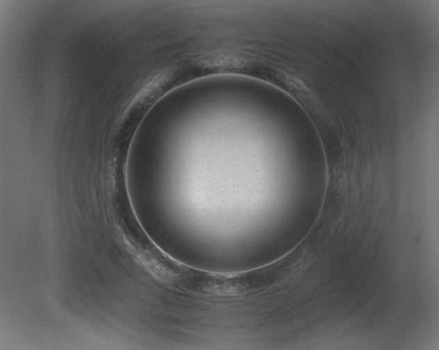 X0000081290735200701111358