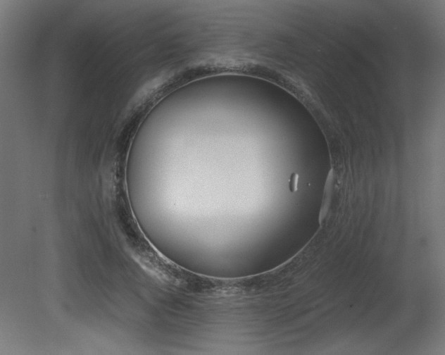 X0000081290736200701111358