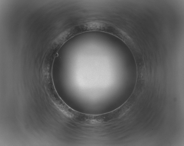 X0000081290737200701111358