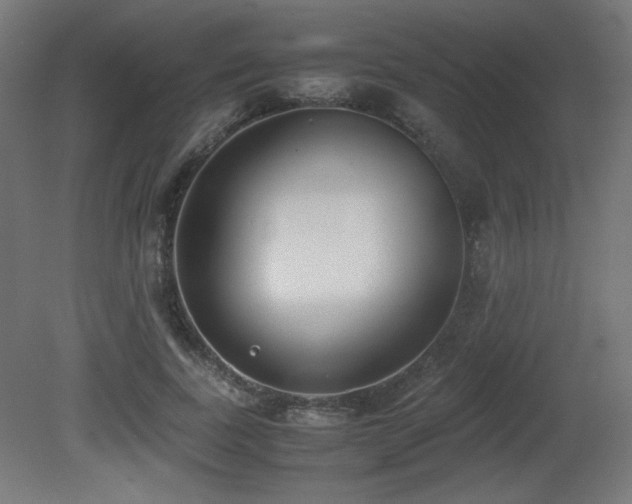 X0000081290739200701111358