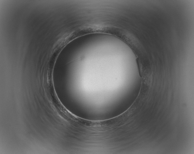 X0000081290740200701111358