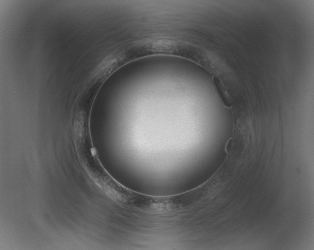 X0000081290744200701111358